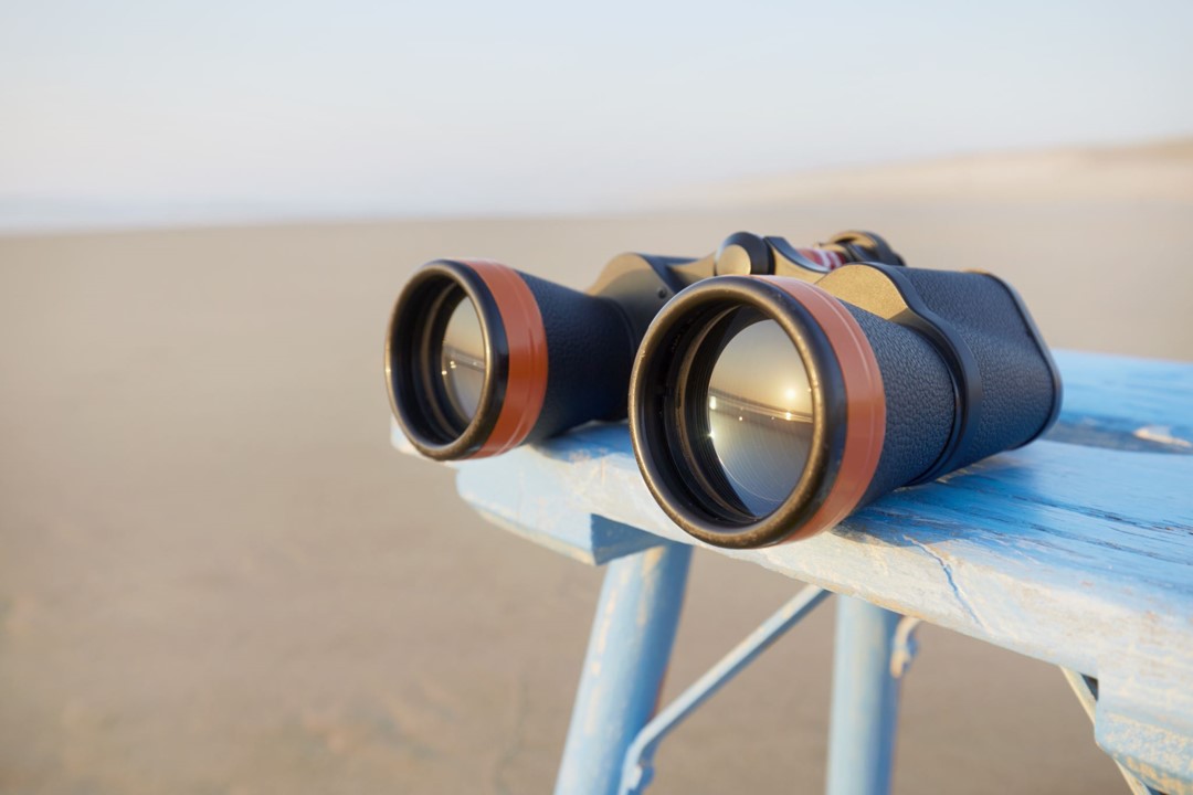 Information Security Assessments